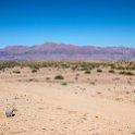 NAM ERO RoadC35 2016NOV25 001 : 2016, 2016 - African Adventures, Africa, C35, Date, Erongo, Month, Namibia, November, Places, Southern, Trips, Year